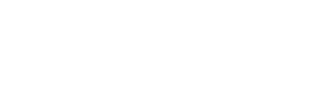 noctiluca-digital-logo